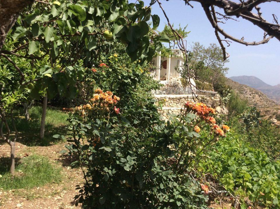 La Villa Di Zazopetra Menetaí Exterior foto