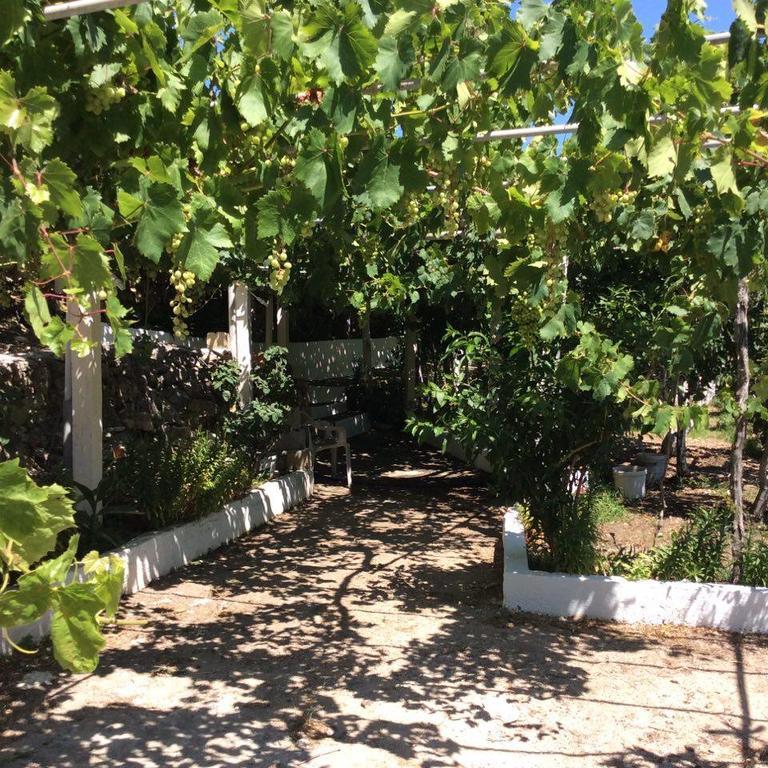 La Villa Di Zazopetra Menetaí Exterior foto
